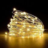 Warm White LEDs Light wire